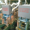 Hydraulic Shear